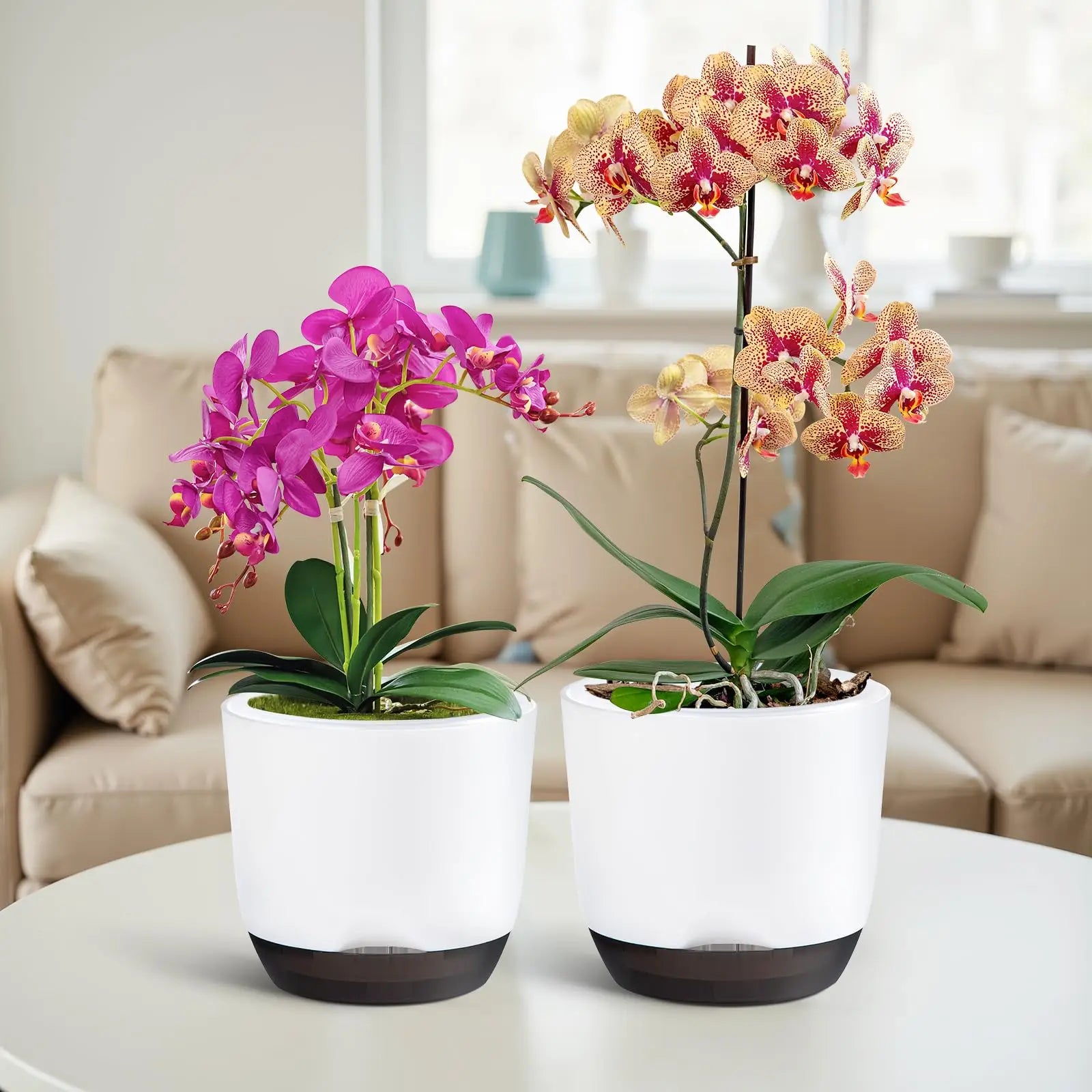 YOCITY Self Watering Orchid Pot Clear Inner Planter with Drainage Holes - 13