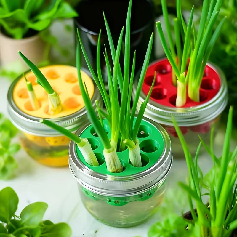 2PC 7-Hole Hydroponic Planter Garlic Scallion Sprouter Gardening Tool