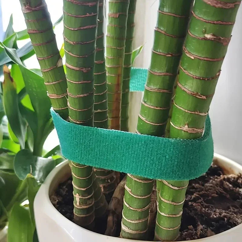 Adjustable Plant Ties Green Gardening Cable Straps for Climbing Vines - 6