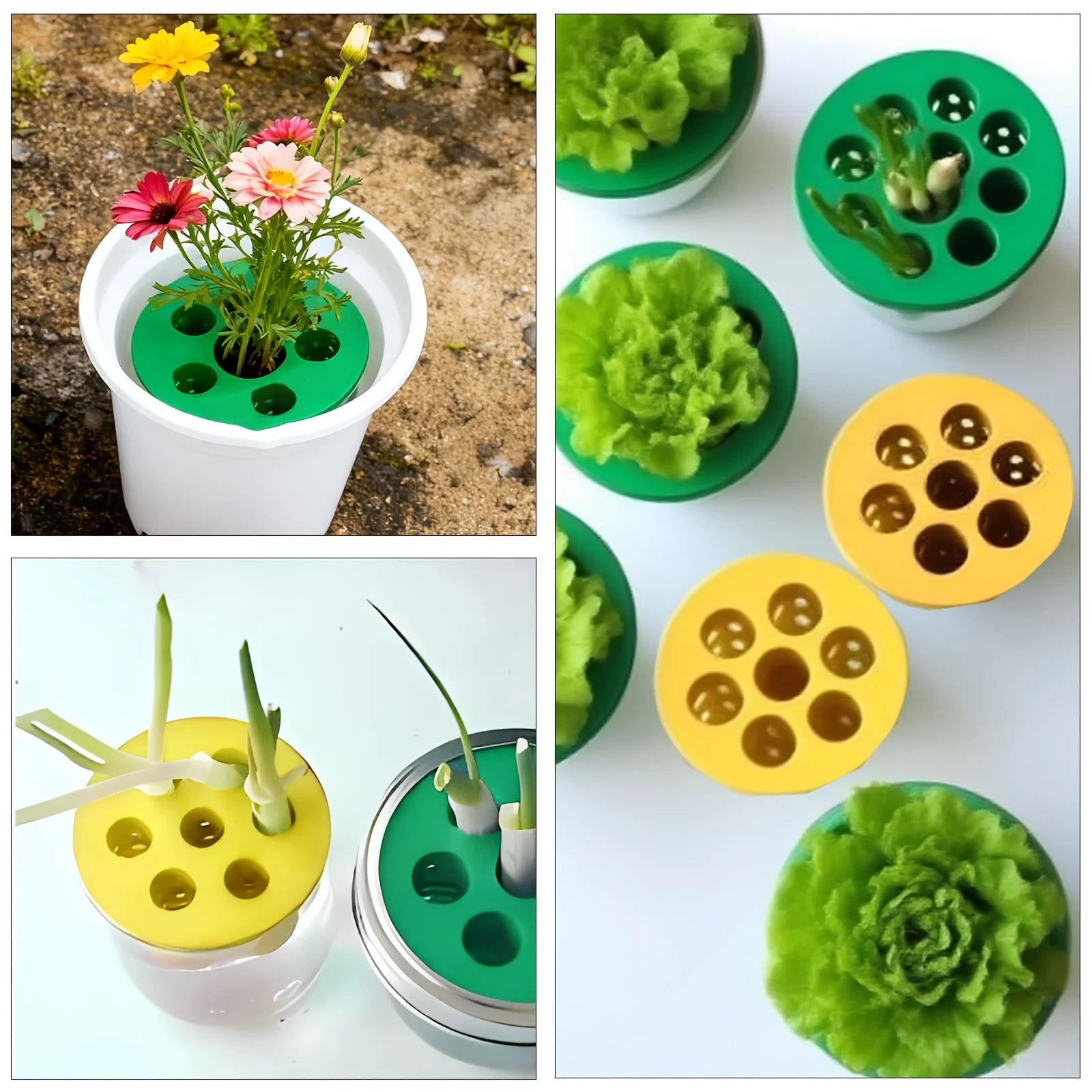 2PC 7-Hole Hydroponic Planter Garlic Scallion Sprouter Gardening Tool - 8