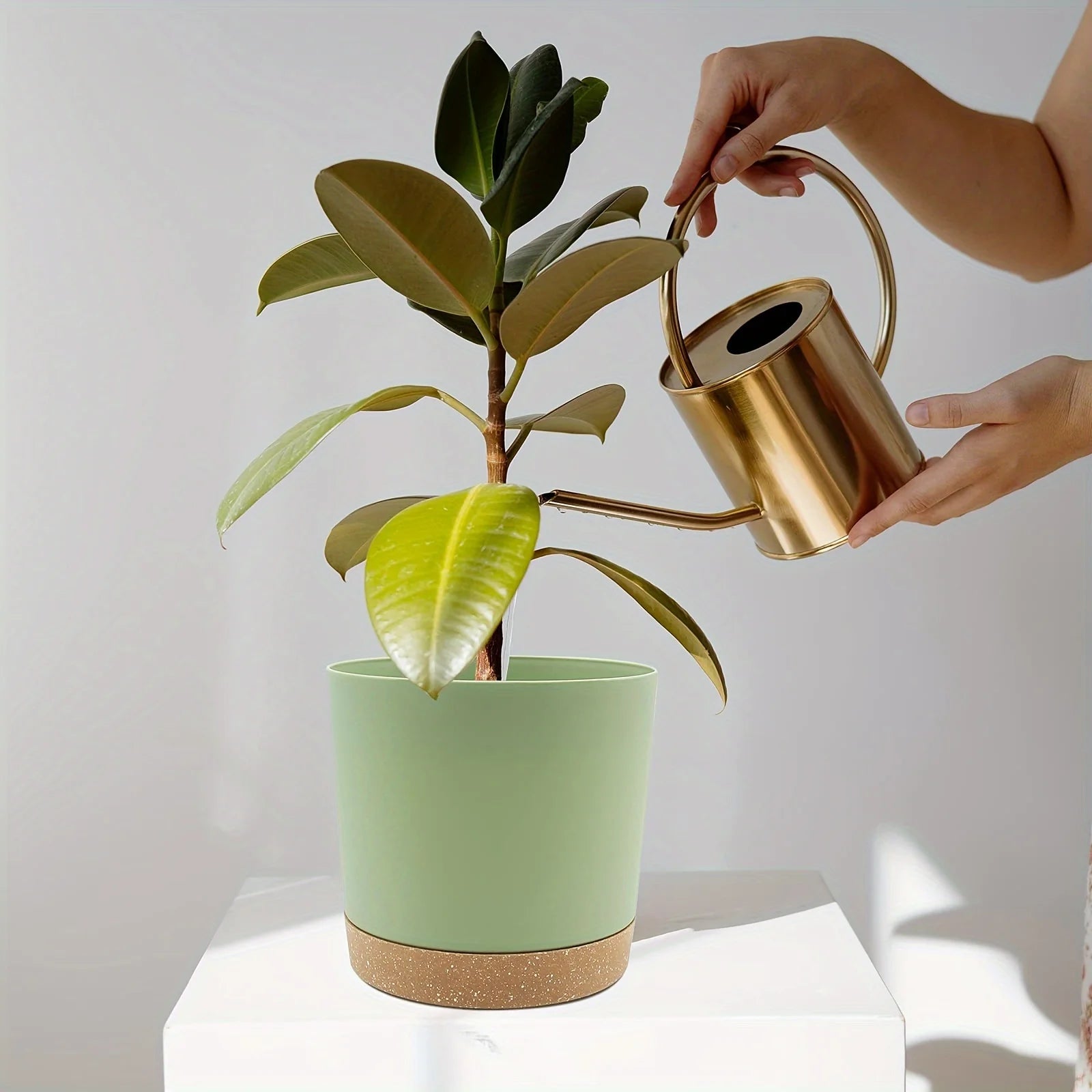 2pc 6.5 Inch Self Watering Flower Pot Detachable Round Plant Container - 8