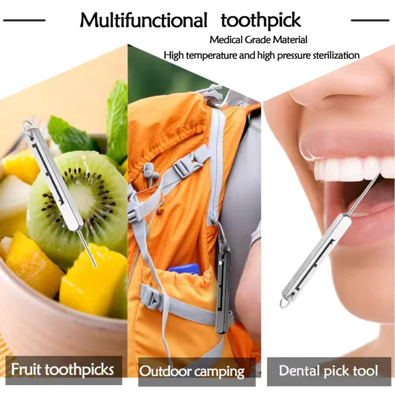 Portable Titanium Toothpick Set Metal Pocket Pick for Camping and Travel - 5