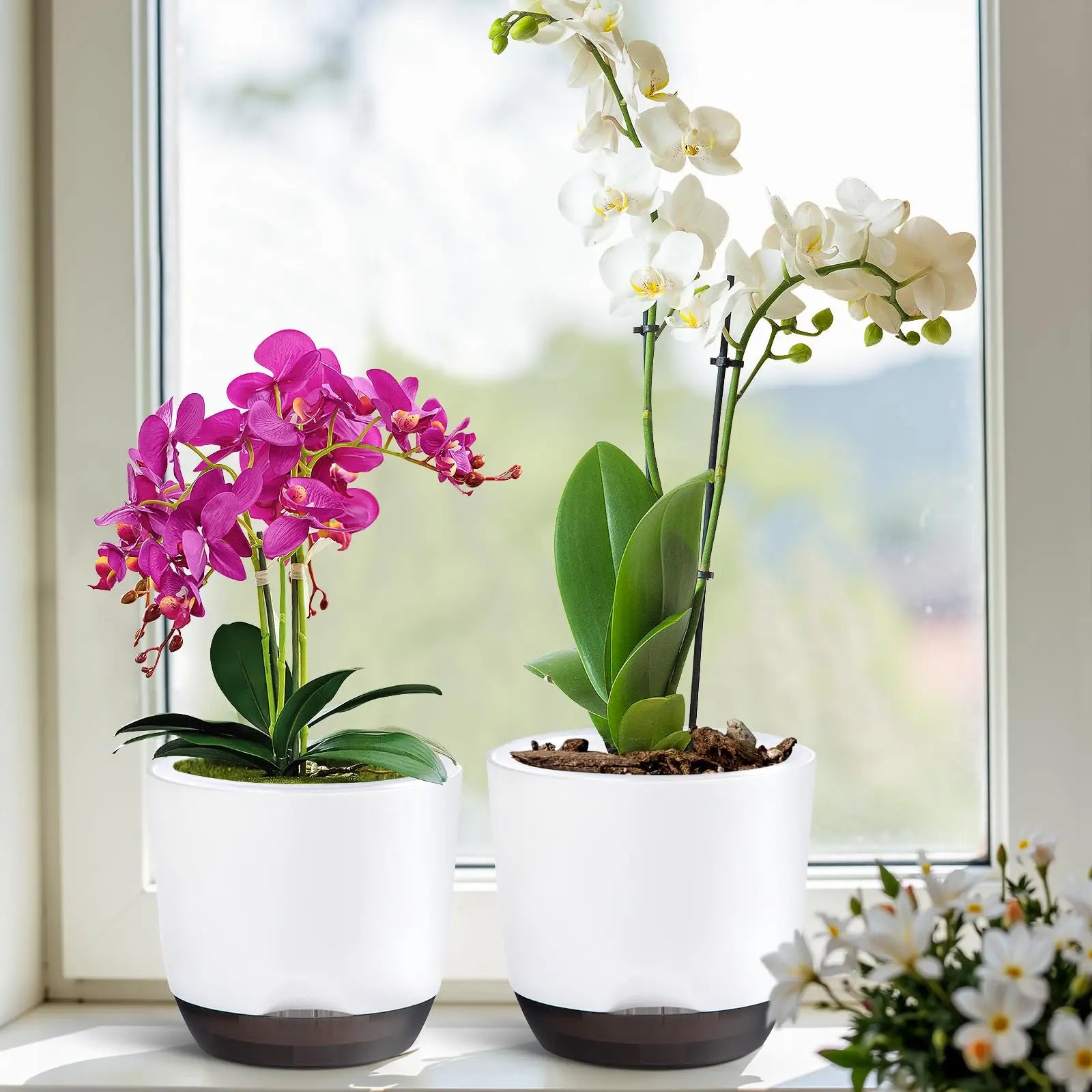 YOCITY Self Watering Orchid Pot Clear Inner Planter with Drainage Holes