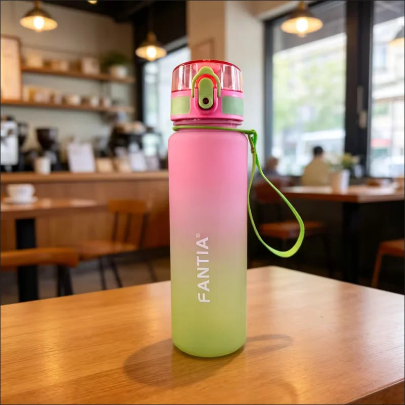 Fantia Frosted Gradient Sports Water Bottle Leak Proof Fitness Flask