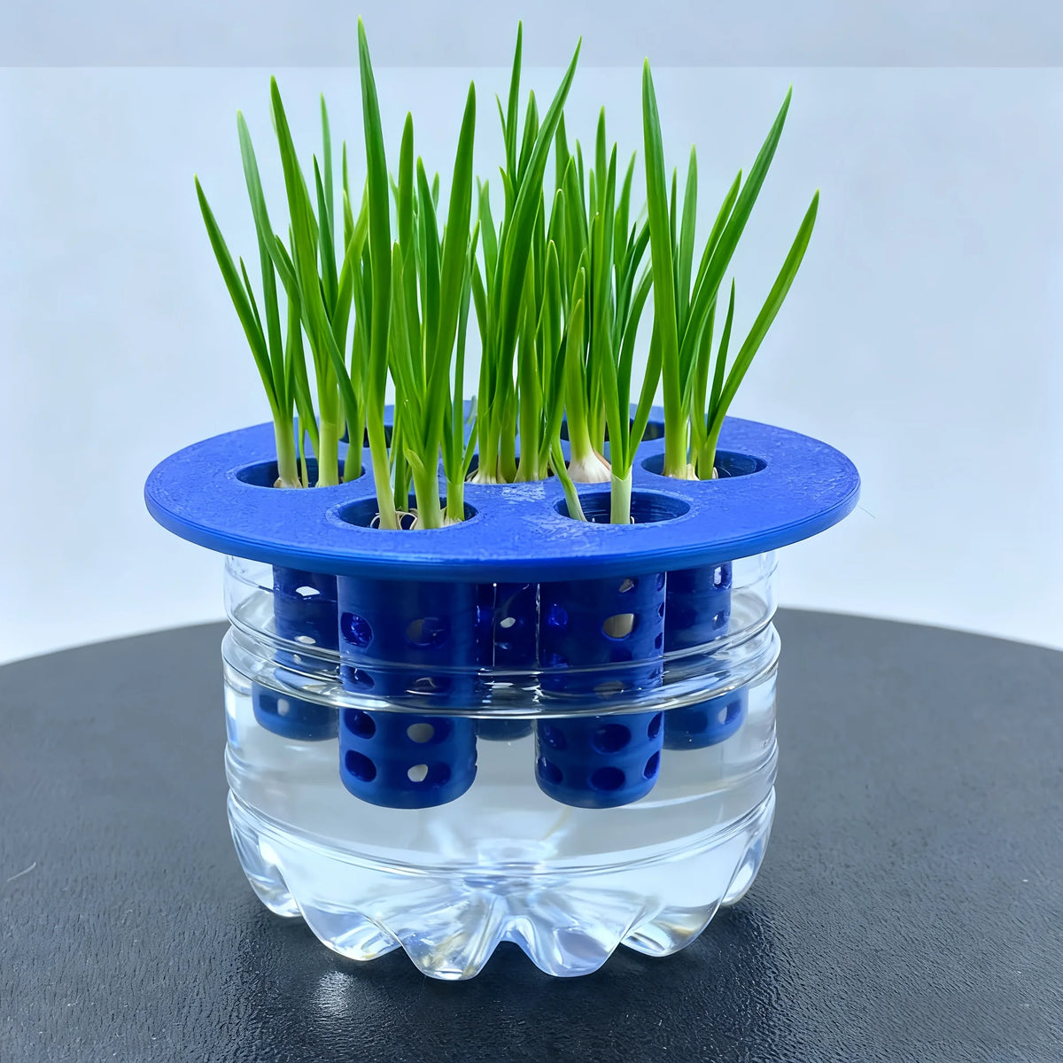 2PC 7-Hole Hydroponic Planter Garlic Scallion Sprouter Gardening Tool