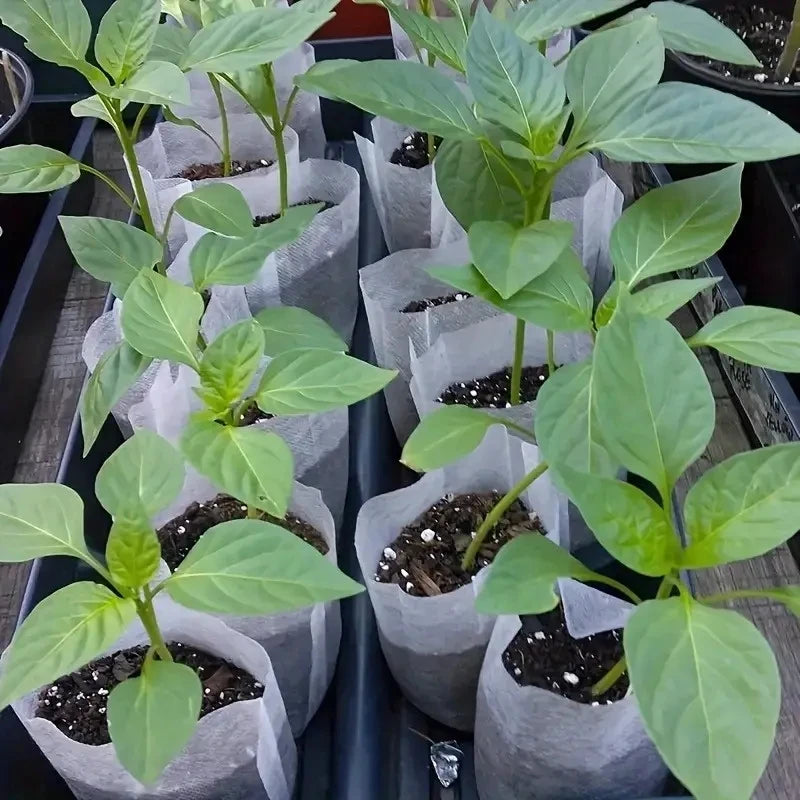 100PCS Biodegradable Nursery Bags Non Woven Seedling Starter Pots - 4