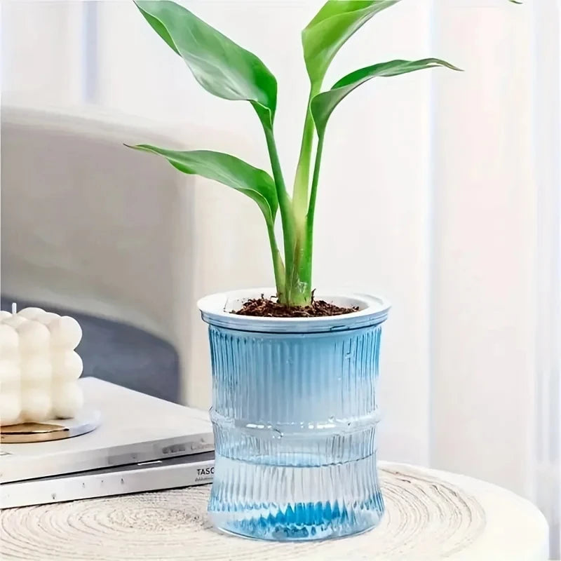 Self Watering Planter Pot Transparent Lazy Hydroponic Flower Vase - 7