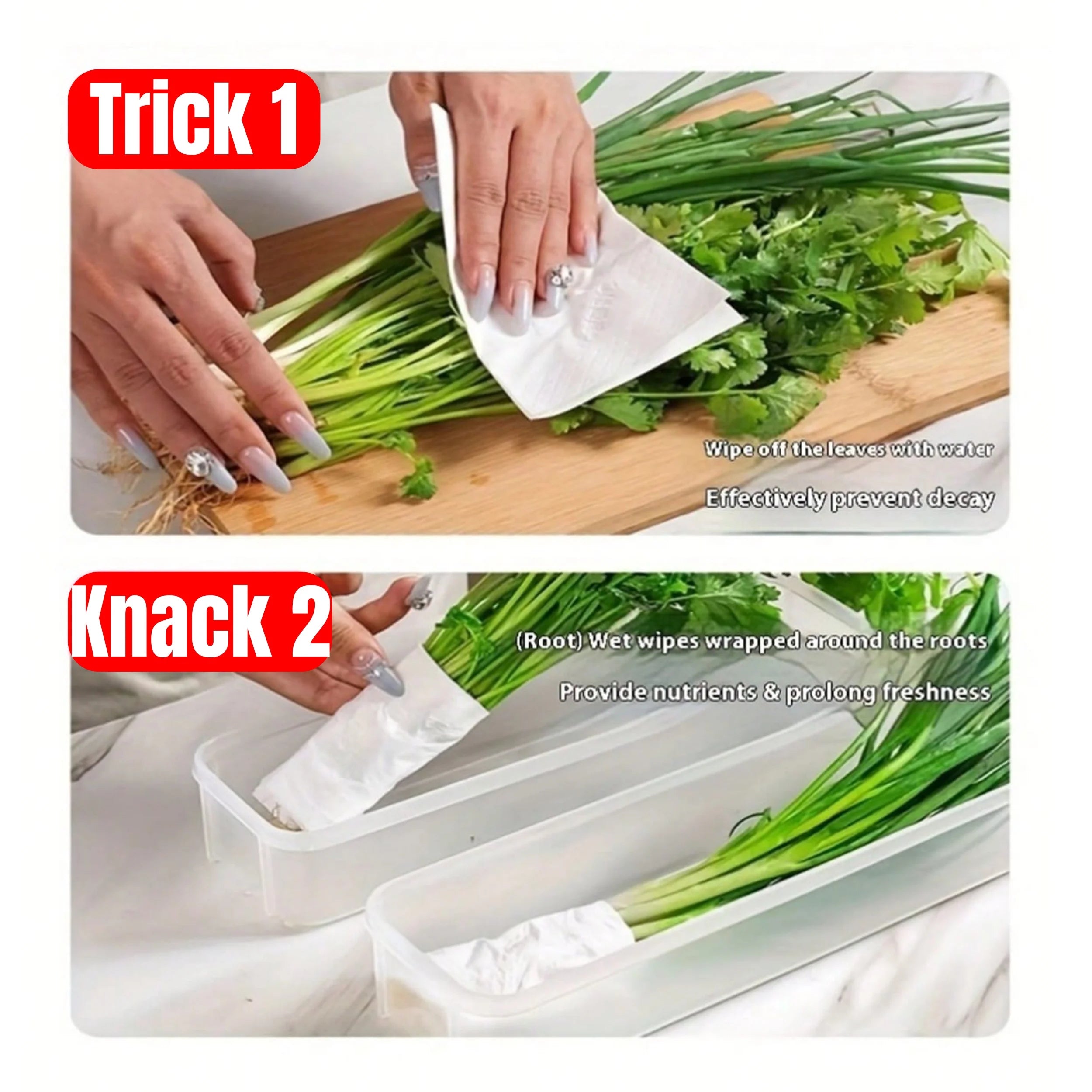 Clear Refrigerator Storage Box Food Keeper for Vegetables and Herbs - 5