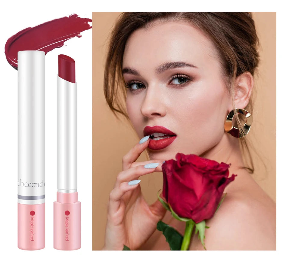 Matte Lipstick Set Waterproof Long Lasting Lip Tint Makeup