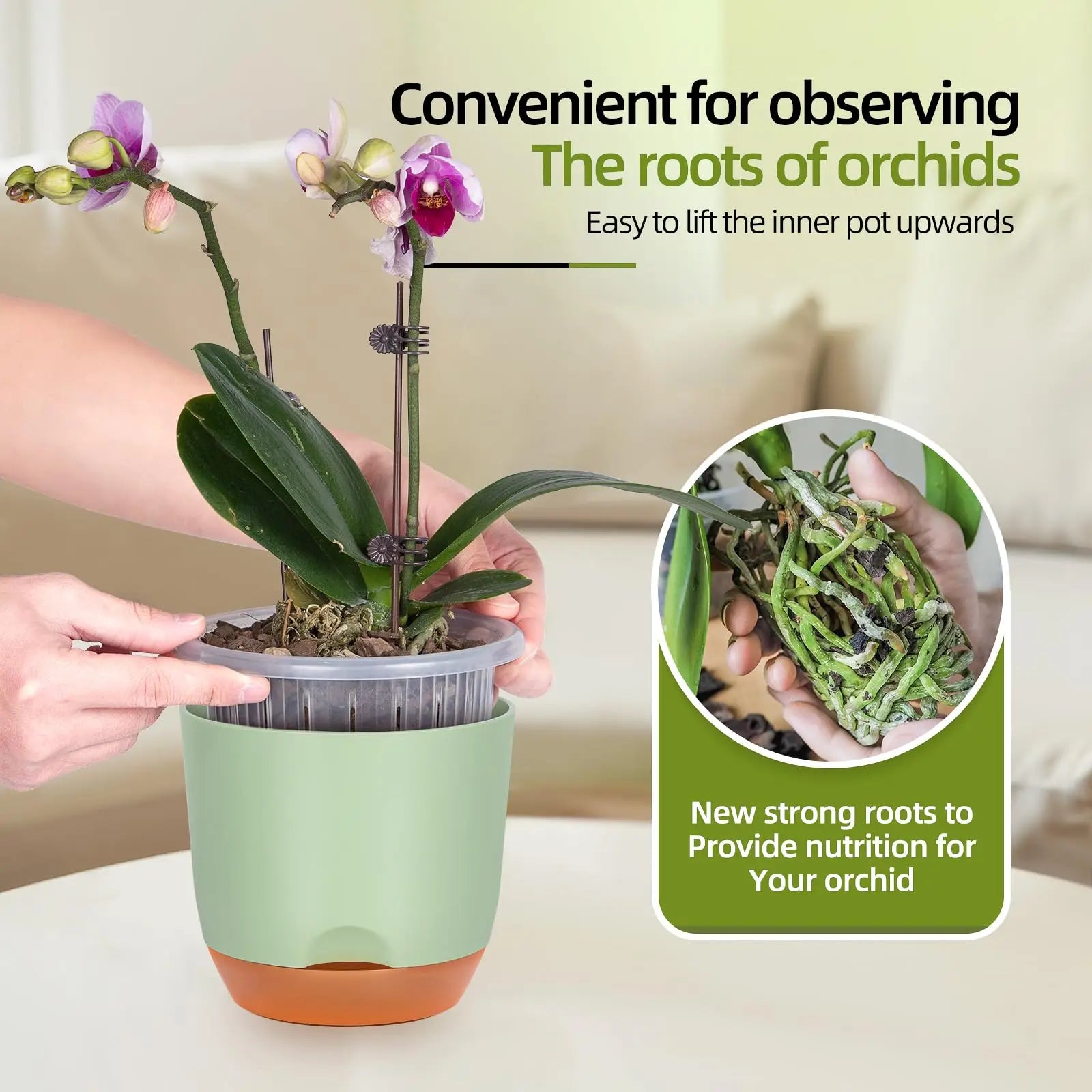 YOCITY Self Watering Orchid Pot Clear Inner Planter with Drainage Holes - 4