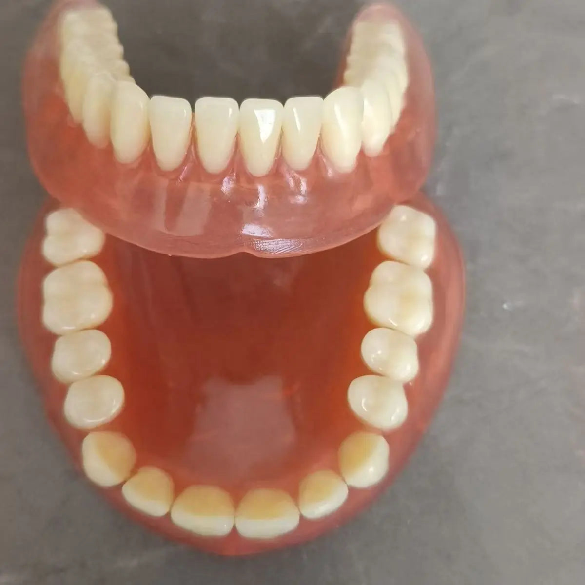 Complete Denture Set False Teeth With Storage Case And Toothbrush