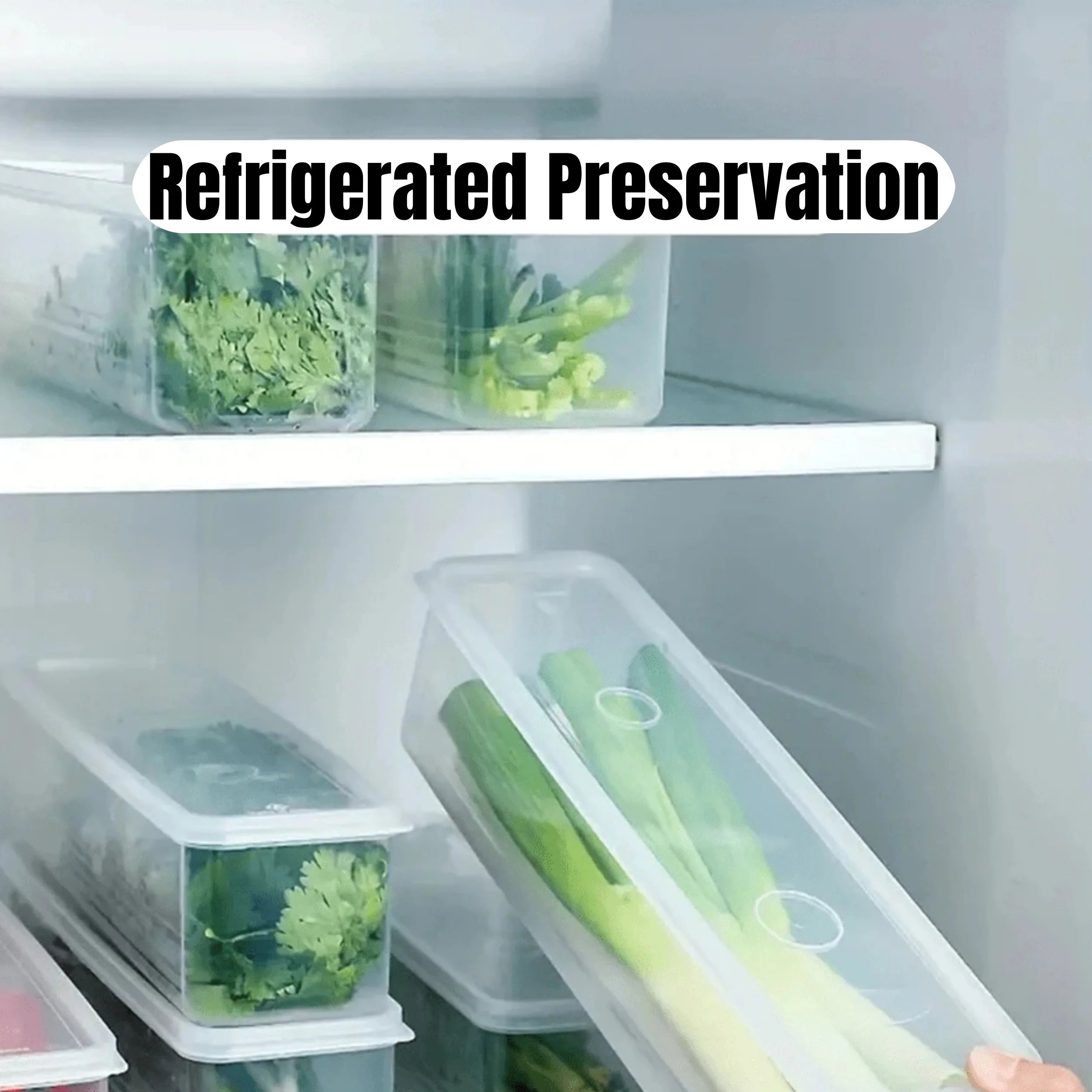 Clear Refrigerator Storage Box Food Keeper for Vegetables and Herbs - 11