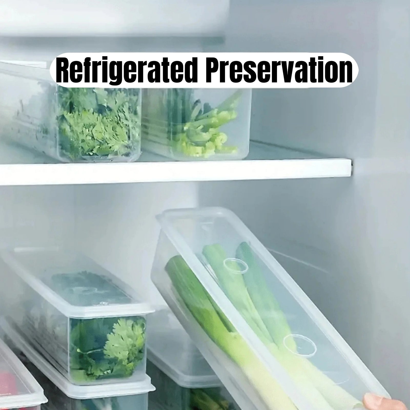 Clear Refrigerator Storage Box Food Keeper for Vegetables and Herbs