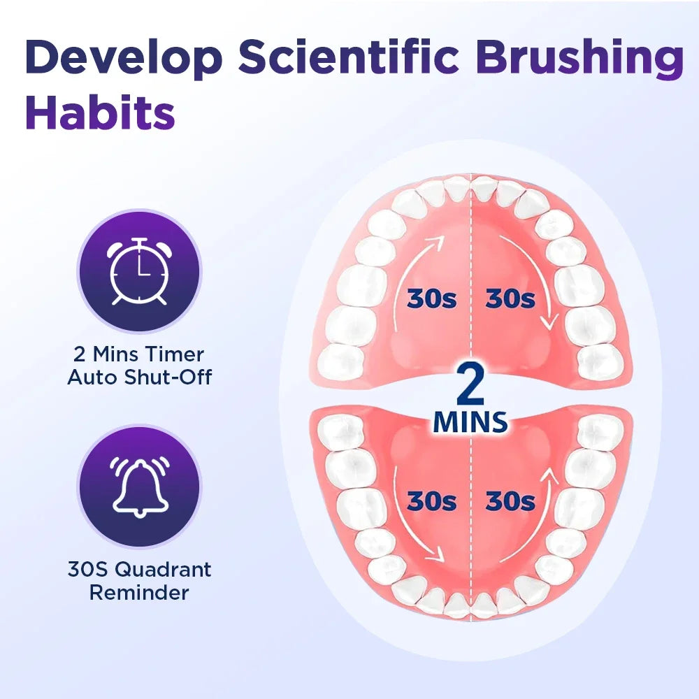 Rechargeable Rotating Electric Toothbrush with 4 Heads