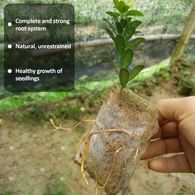 100PCS Biodegradable Nursery Bags Non Woven Seedling Starter Pots - 3