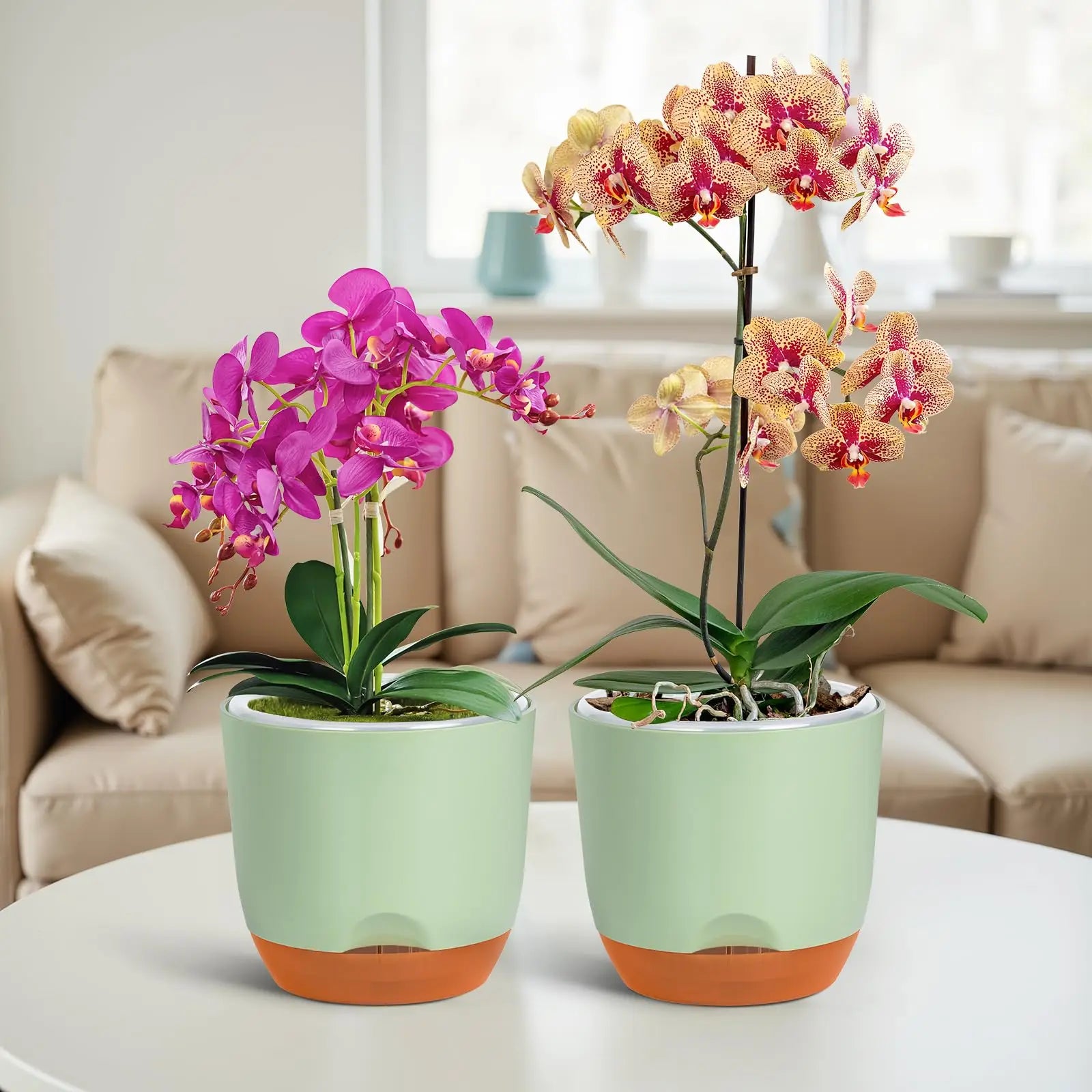 YOCITY Self Watering Orchid Pot Clear Inner Planter with Drainage Holes - 5