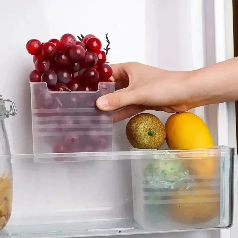 Fridge Side Door Storage Bins Kitchen Food Organizer Containers Set - 10