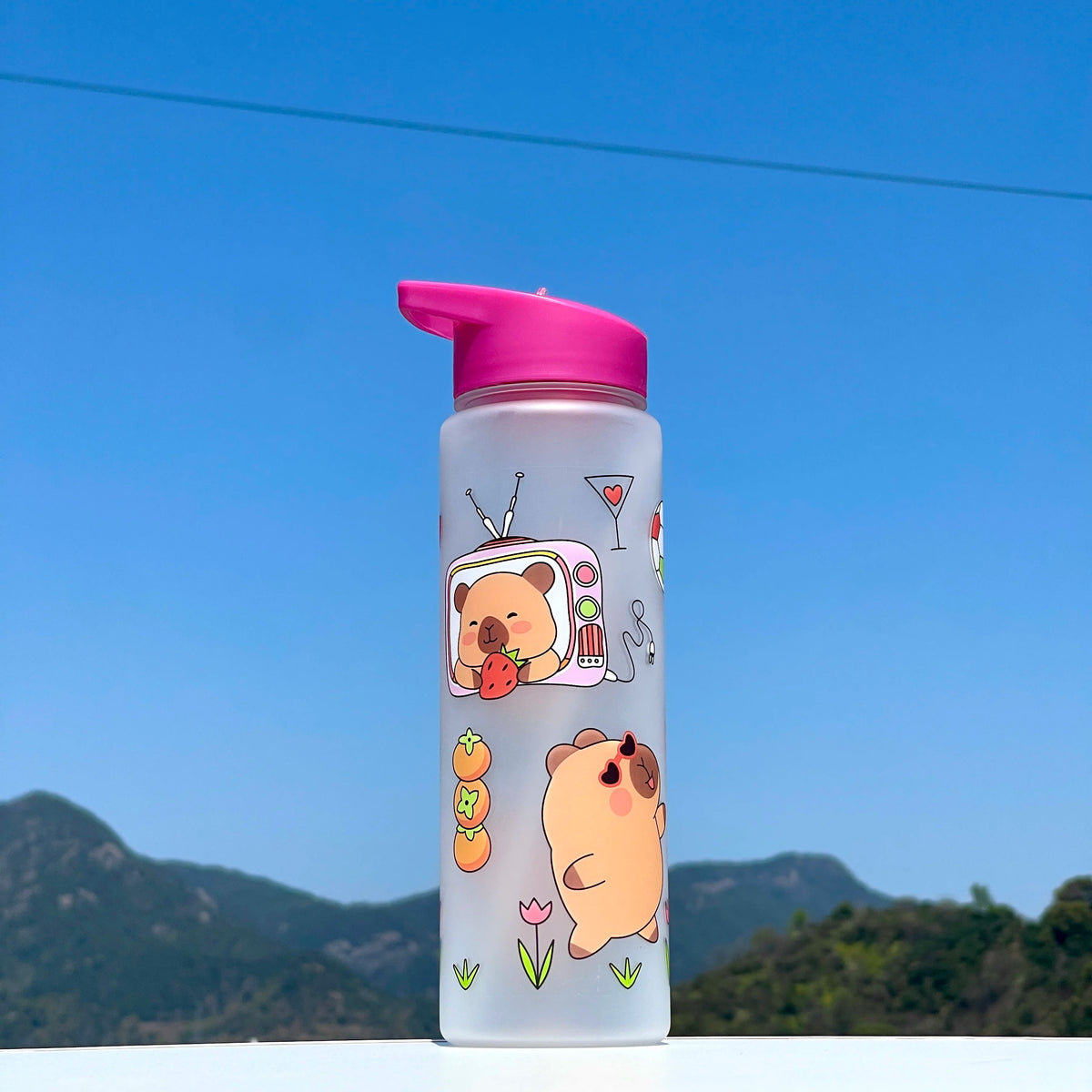 750ml Capybara Water Bottle Leakproof Plastic Sippy Cup with Straw