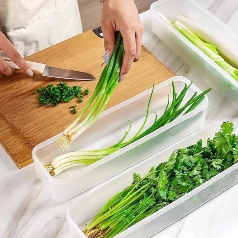 Clear Refrigerator Storage Box Food Keeper for Vegetables and Herbs