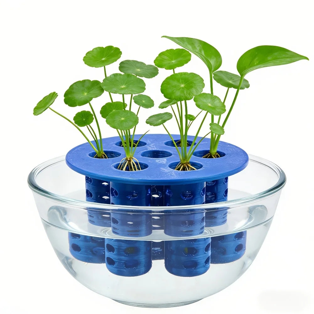 2PC 7-Hole Hydroponic Planter Garlic Scallion Sprouter Gardening Tool