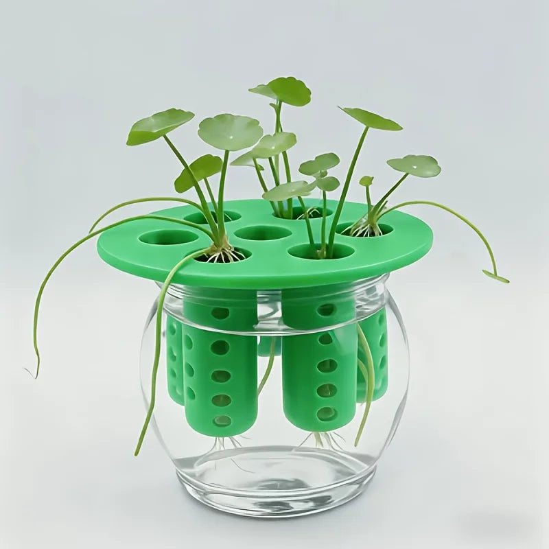 2PC 7-Hole Hydroponic Planter Garlic Scallion Sprouter Gardening Tool