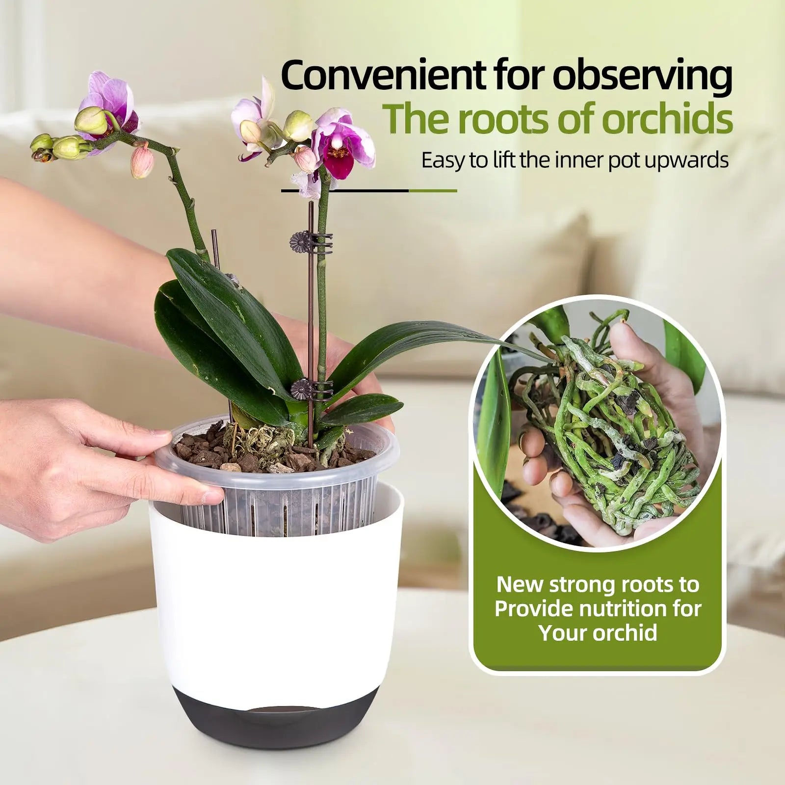 YOCITY Self Watering Orchid Pot Clear Inner Planter with Drainage Holes - 11