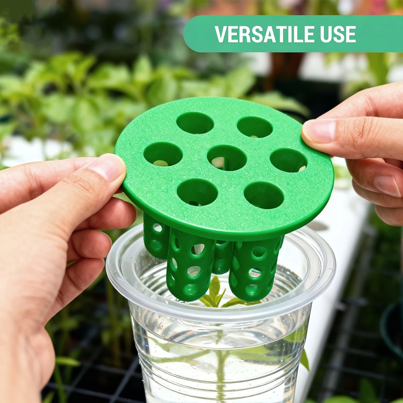 2PC 7-Hole Hydroponic Planter Garlic Scallion Sprouter Gardening Tool - 2