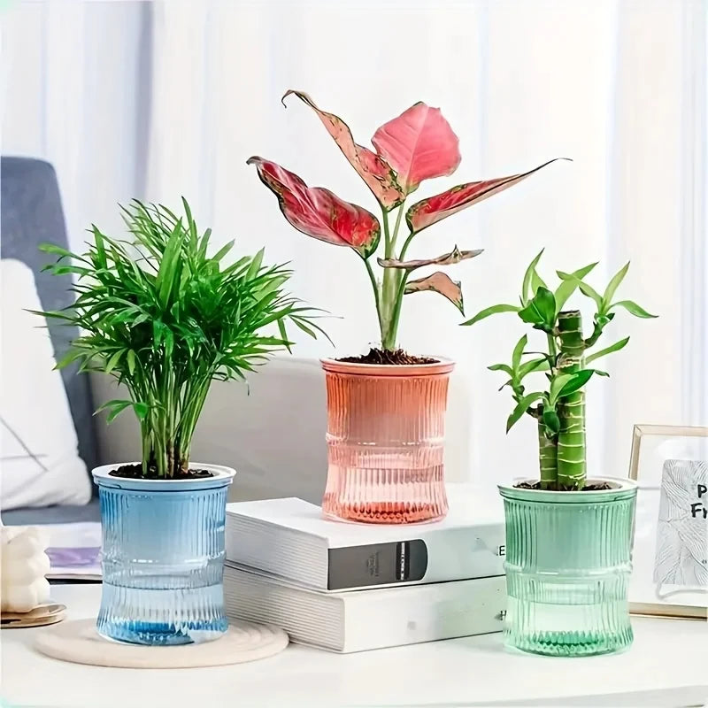 Self Watering Planter Pot Transparent Lazy Hydroponic Flower Vase - 2