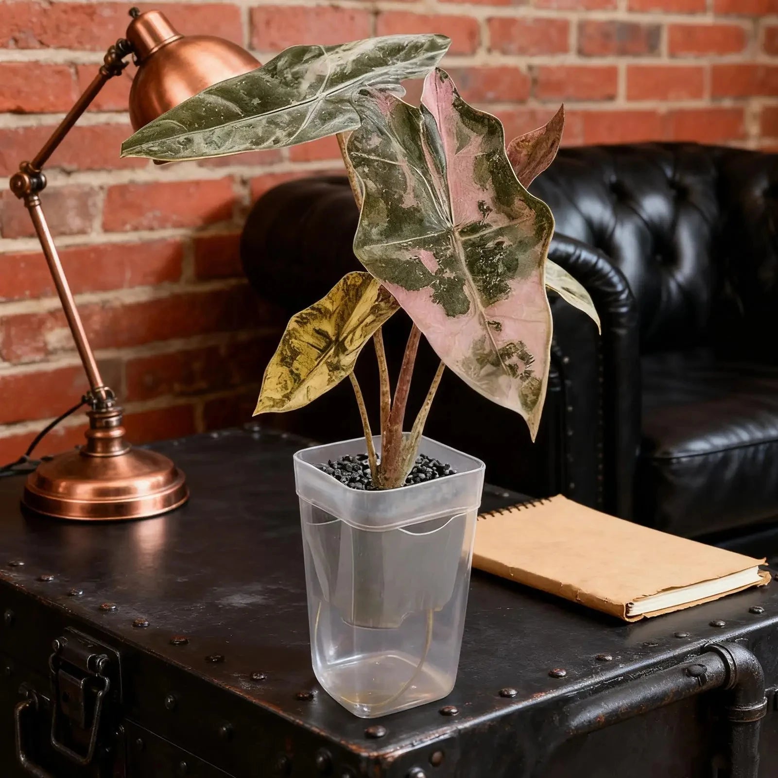 15pcs Self Watering Plant Pots Translucent Seedling Planters for Cuttings - 9
