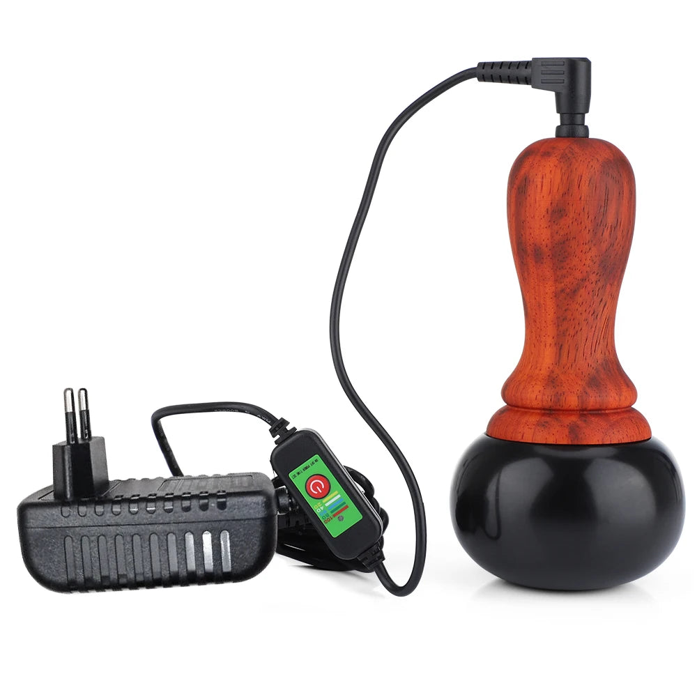 Electric Bianstone Hot Stone Gua Sha Massager