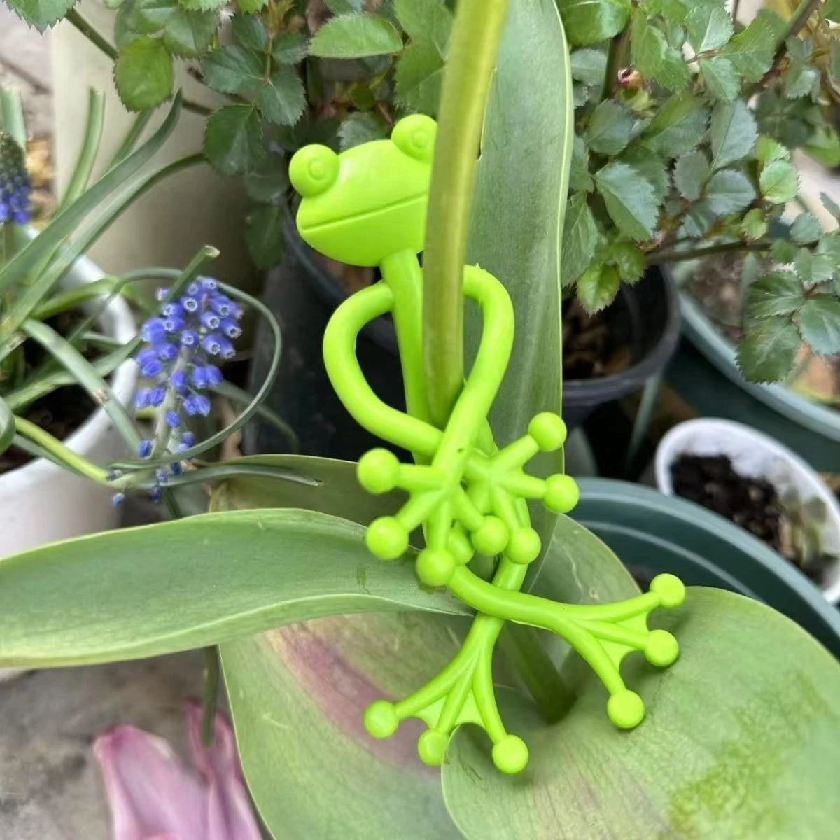Frog Plant Support Stakes Climbing Vine Clips Garden Decorative Holders - 10