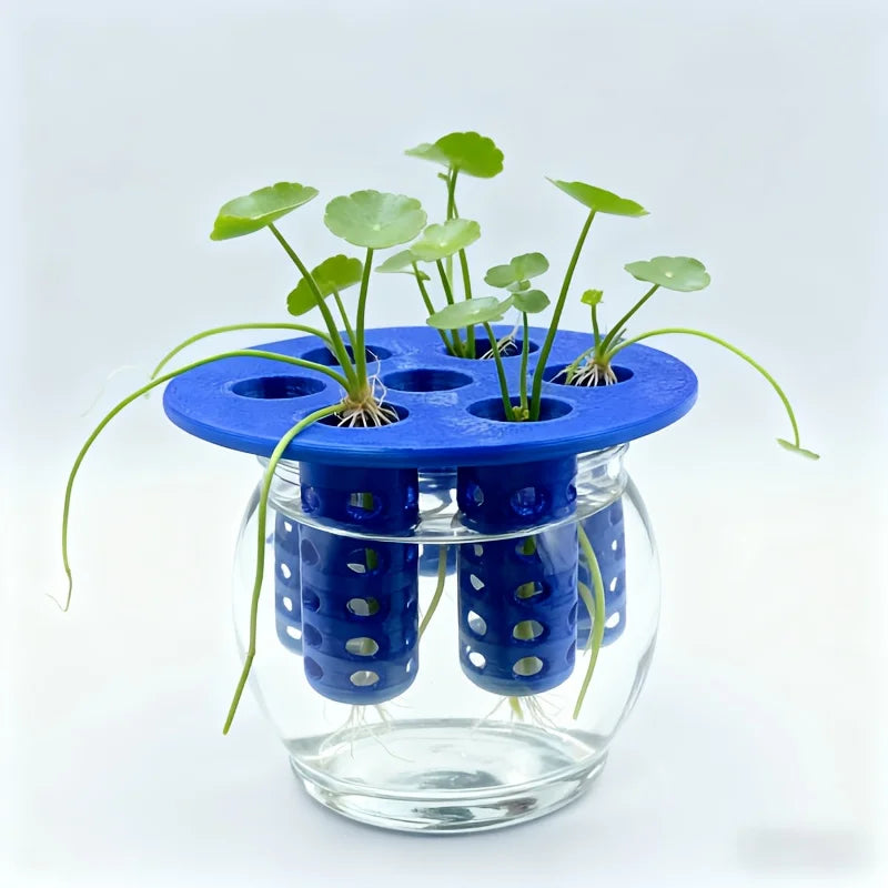 2PC 7-Hole Hydroponic Planter Garlic Scallion Sprouter Gardening Tool