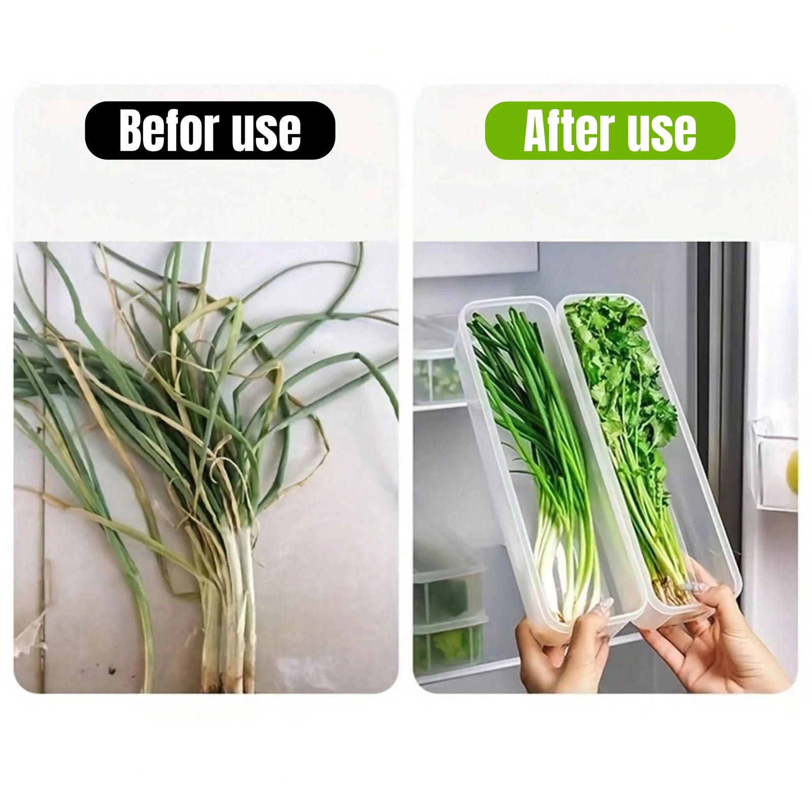 Clear Refrigerator Storage Box Food Keeper for Vegetables and Herbs