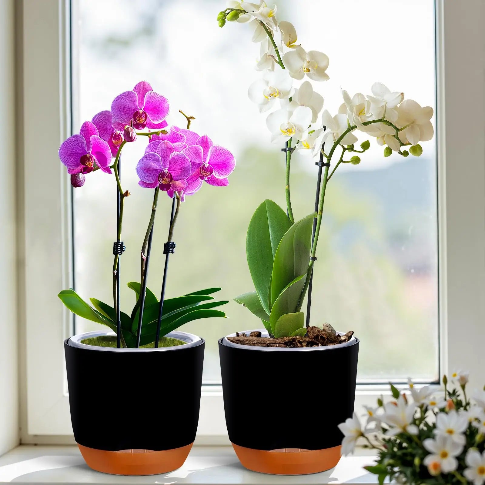 YOCITY Self Watering Orchid Pot Clear Inner Planter with Drainage Holes - 6