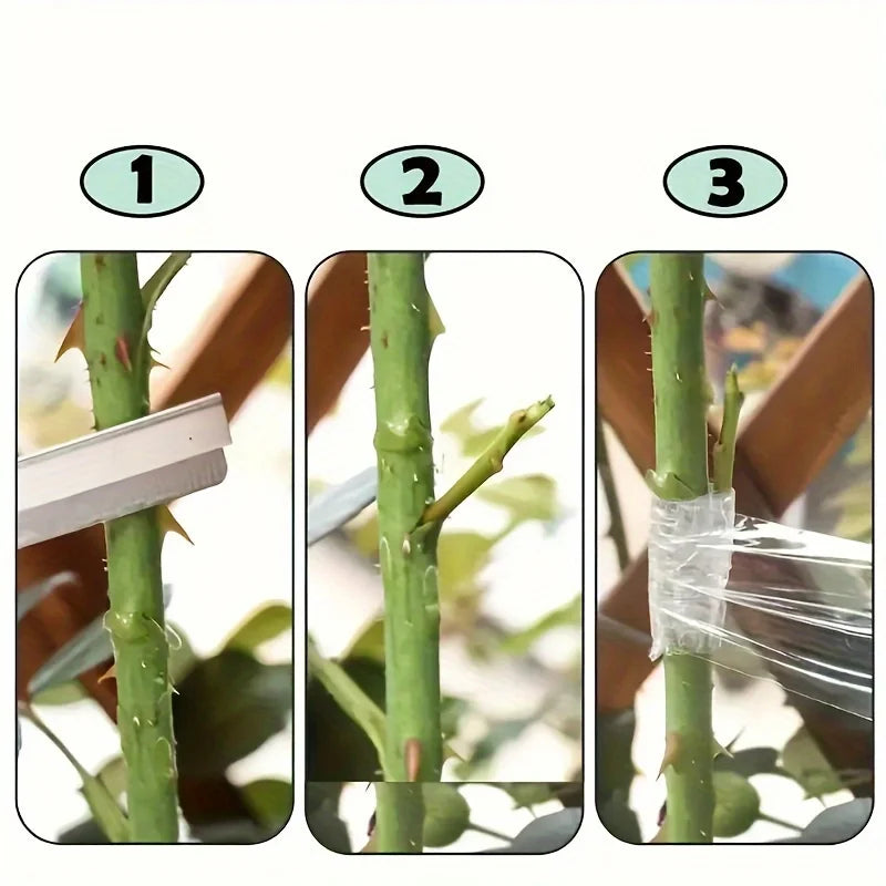 4-Pack Grafting Tape Self-Adhesive Garden Plant Repair Film - 2