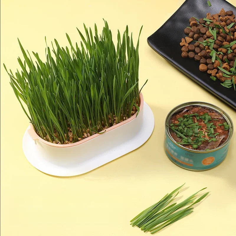 Cat Grass Planter Box Hydroponic Pet Grass Growing Tray Kit - 2