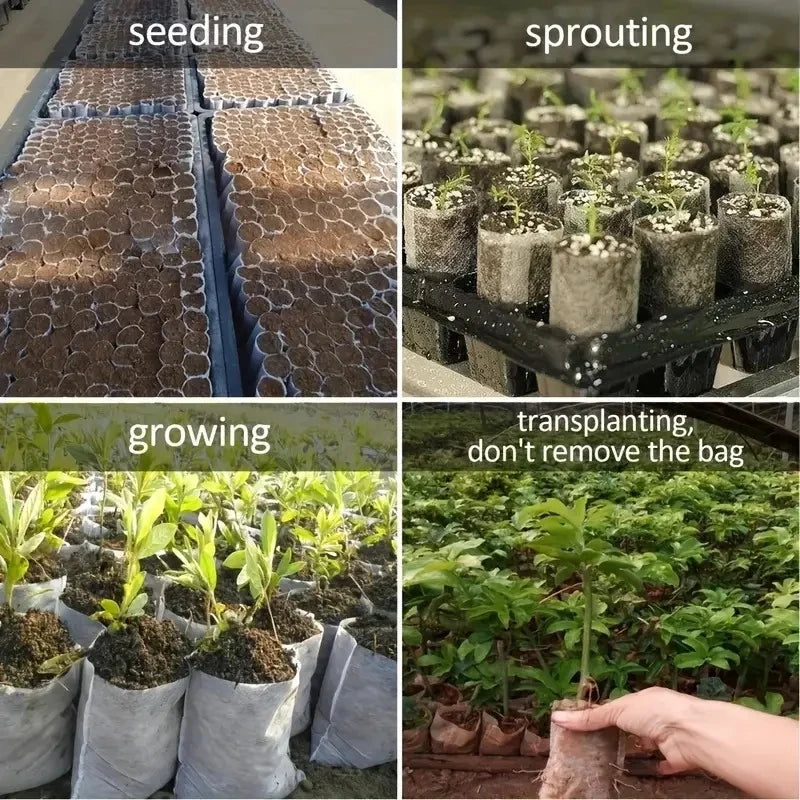 100PCS Biodegradable Nursery Bags Non Woven Seedling Starter Pots - 2