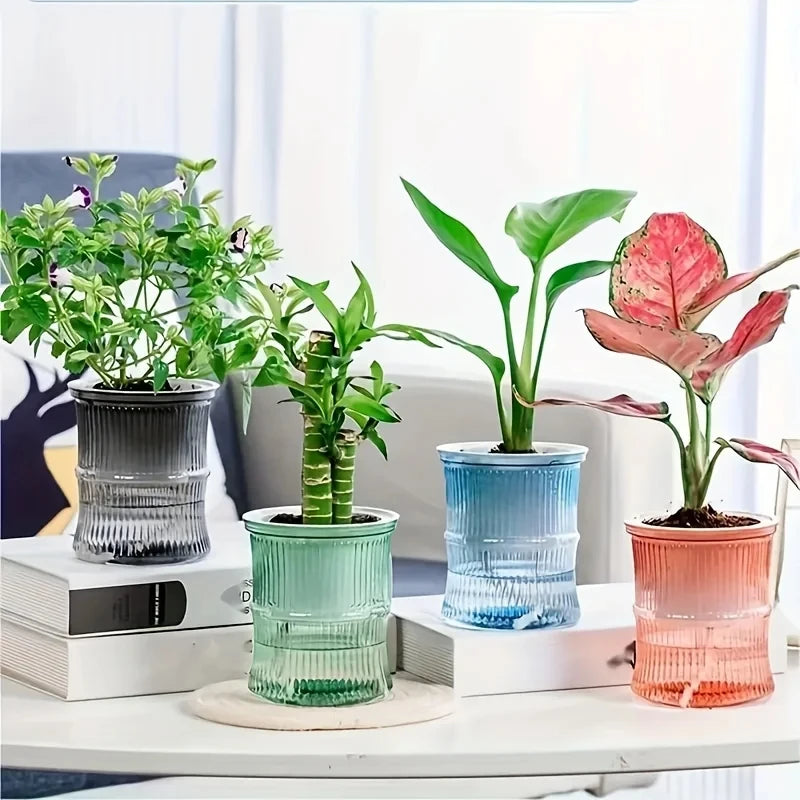 Self Watering Planter Pot Transparent Lazy Hydroponic Flower Vase - 1