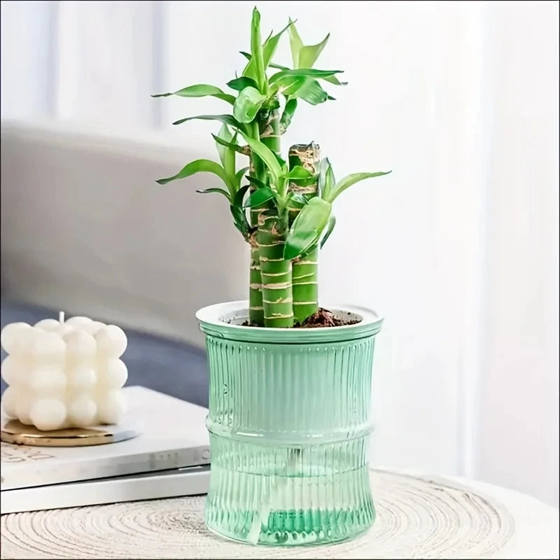 Self Watering Planter Pot Transparent Lazy Hydroponic Flower Vase - 8