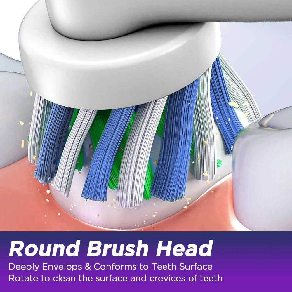 Rechargeable Rotating Electric Toothbrush with 4 Heads