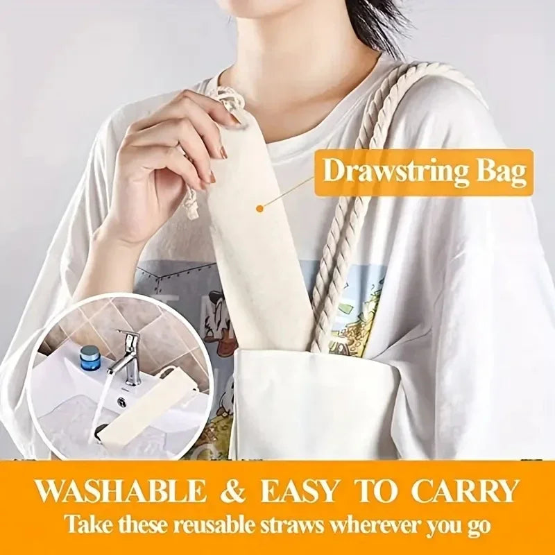 Reusable Stainless Steel Straw Set with Cleaning Brush and Storage Bag