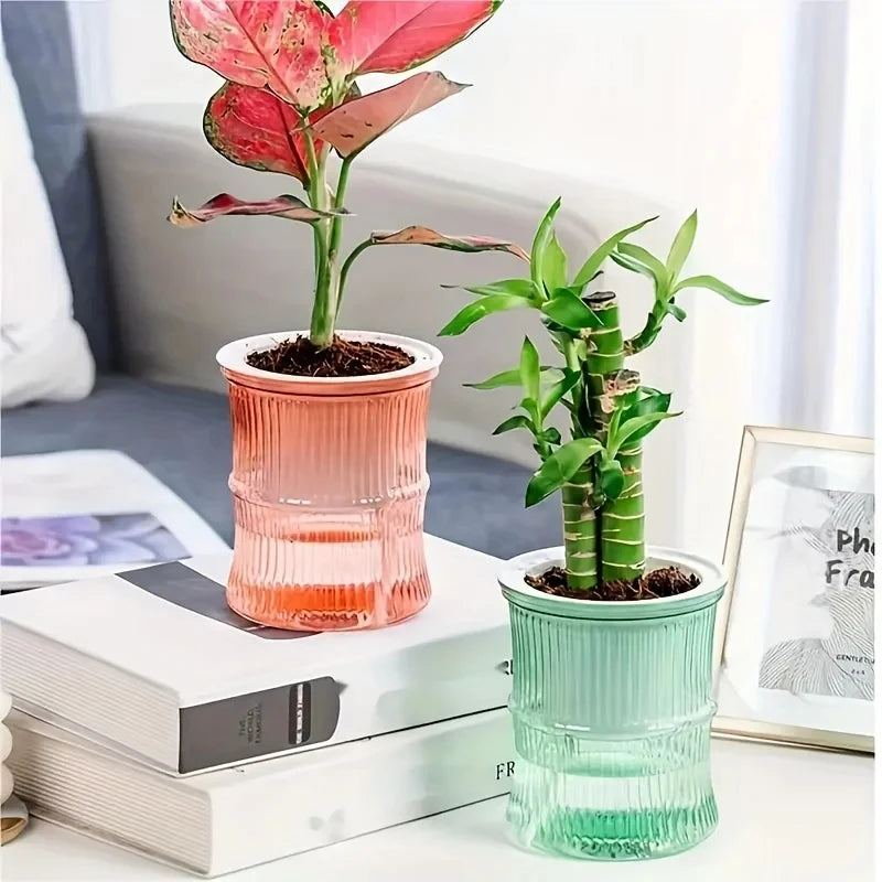 Self Watering Planter Pot Transparent Lazy Hydroponic Flower Vase